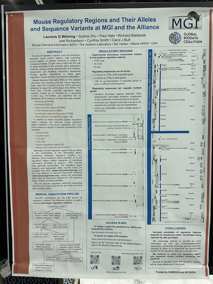 Photo of a poster titled “Mouse regulatory regions and their alleles and sequence variants at MGI and the Alliance”