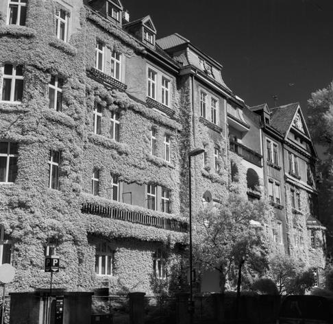 Black and white photograph of a building with a heavy ivy growth.