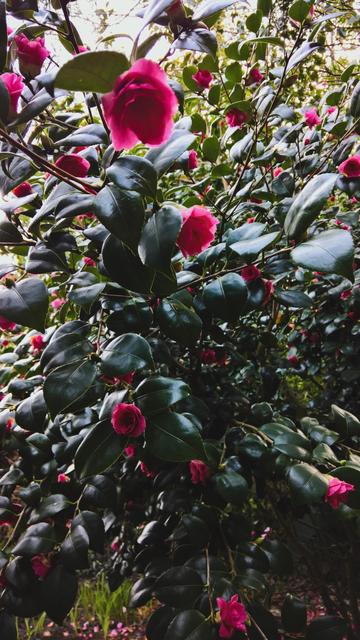 #VisualSearch is #QuiteCool... #StillQuiteCool...