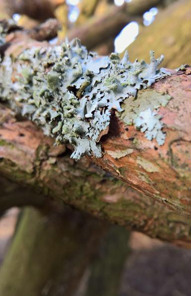 #VisualSearch is #QuiteCool... #StillQuiteCool...