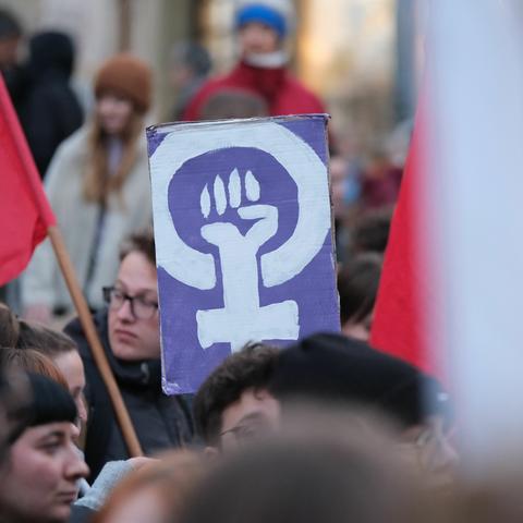 Bild der Demo mit Schild