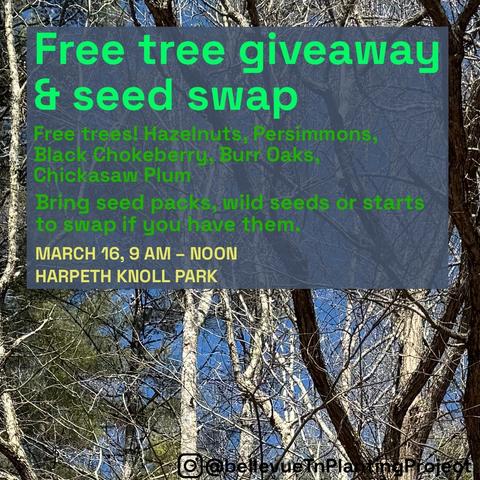Background is branches of trees without leaves. Text on the image reads Free tree giveaway & seed swap. Free trees! Hazelnuts, Persimmons, Black Chokeberry, Burr Oaks, Chickasaw Plum. Bring seed packs, wild seeds or starts to swap if you have them.