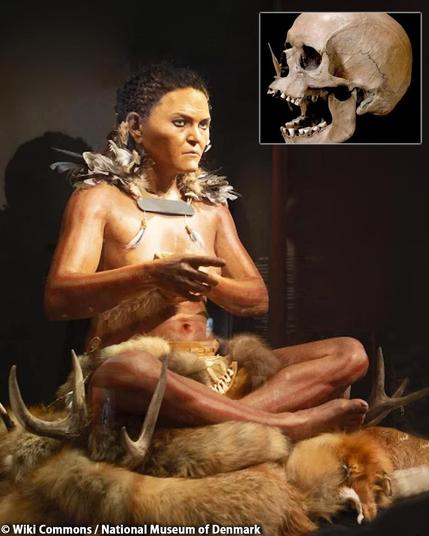 Scandinavia’s early farmers slaughtered the hunter-gatherer population 5,900 years ago

A recent study conducted by Lund University in Sweden challenges previously held beliefs regarding the transition from hunter-gatherer to agricultural societies in Scandinavia.

The research, which involved an international team of scientists, utilized DNA analysis of skeletons and teeth dating back 7,300 years found in present-day Denmark. Contrary to prior assumptions, the study reveals not one but two significant population turnovers occurred in the region, reshaping the genetic landscape and rewriting the history of ancient migrations.

Previous narratives portrayed this transition as peaceful, but the study suggests the farmers, originating from Anatolia and southern Russia, drove out the indigenous hunter-gatherer populations through a combination of violence and the introduction of new pathogens from their livestock...