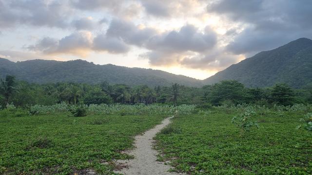 A sandy path leads into a thick green jungle. In the distance, the sun sets into a cloudy sky between mountains.