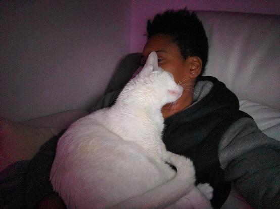 White cute cat comforting its hooman
