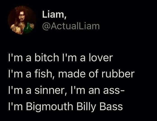 I'm a bitch I'm a lover
I'm a fish, made of rubber 
I'm a sinner, I'm an ass-
I'm Bigmouth Billy Bass