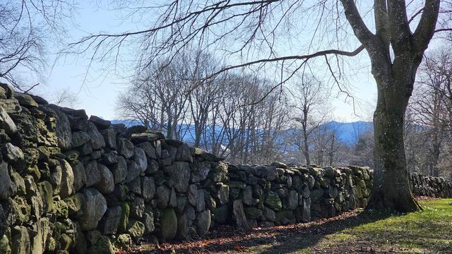 Stone wall in park