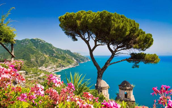 PinusPinea at Villa Rufolo, Ravello, Amalfi Coast in Italy
Background: The Riviera (the Alps over the Mediterranean Sea)
Foreground: laurier-rose