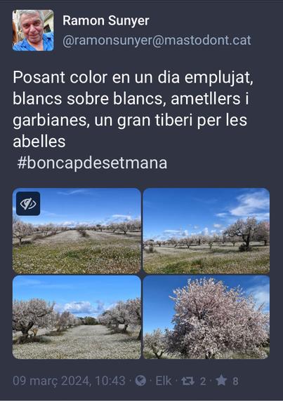 Screenshot of a post in Catalan with 4 photos of trees and herbs in bloom, both with white flowers.