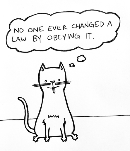 a white cat sits with its tongue out and thinks "no one ever changed a law by obeying it."