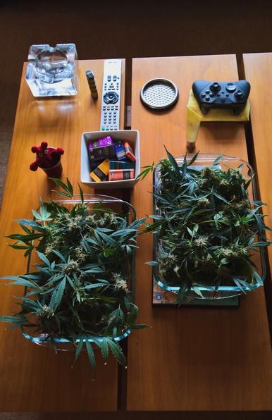 #VisualSearch is #QuiteCool...