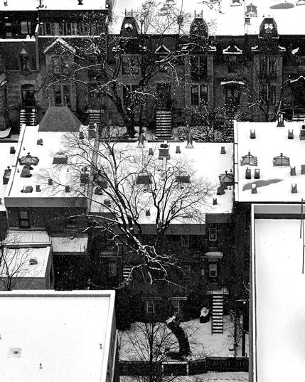 Black and white, overlooking snowy rooftops, buildings &amp; tree