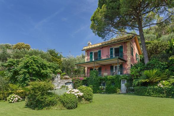 Pinus Pinea at house in Italy