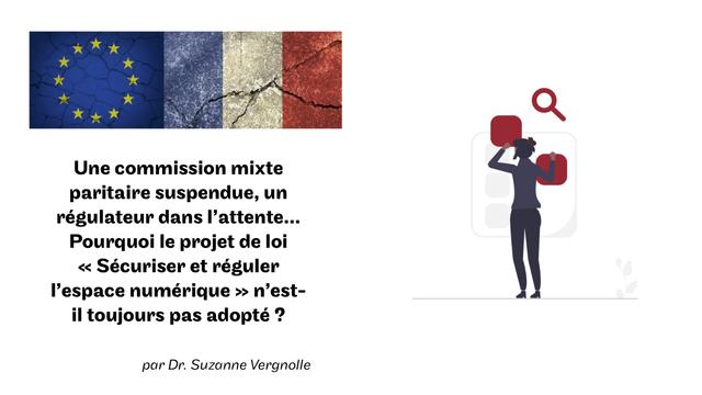Illustrations de deux drapeaux craquelés et d'une personne essayant de trouver une solution avec le titre de l'article