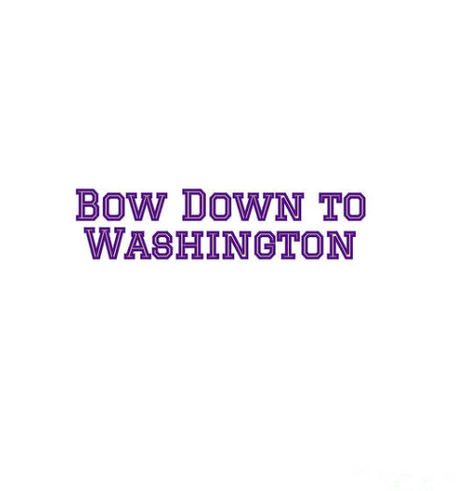 Bow Down to Washington is shown in University of Washington husky colors!