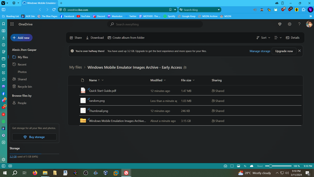 The OneDrive folder containing said archive.