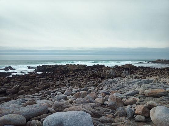Light gray skies easing into off-shore fog easing into light blue waves crashing on a rocky shore. The tide is clearly out with dark rocks wet and covered with slowly drying seaweeds.
