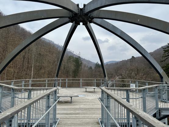 Ein erhöhter Metallsteg mit symmetrischen Bögen mit Blick auf ein Waldgebiet.