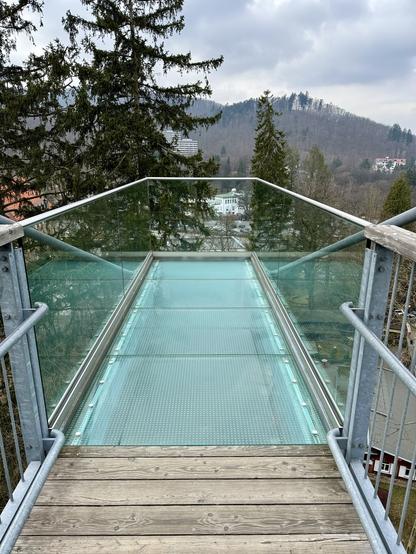 Eine gläserne Aussichtsplattform, die sich von einem Holzdeck mit Blick auf Bäume und Hügel im Hintergrund erstreckt.