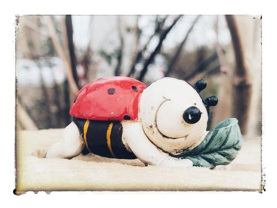 Foto einer molligen Marienkäferfigur, die ein freundliches Lächeln im Gesicht hat und ein Blatt in Händen hält.