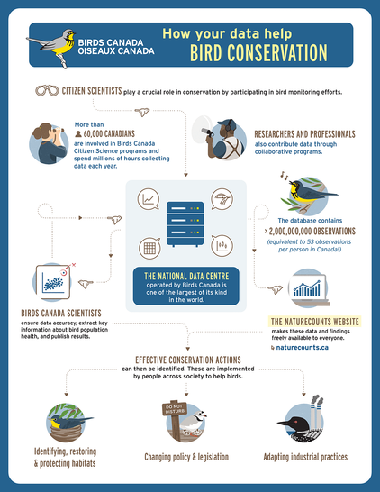 An infographic showing the many wonderful actions accomplished with data stored in the Birds Canada data systems.