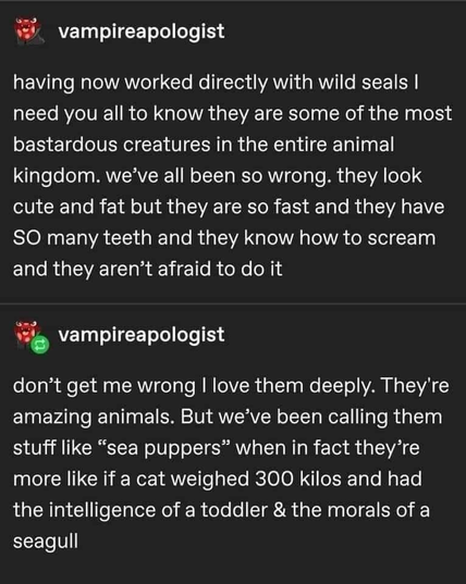 vampireapologist having now worked directly with wild seals I need you all to know they are some of the most bastardous creatures in the entire animal kingdom. we've all been so wrong. they look cute and fat but they are so fast and they have SO many teeth and they know how to scream and they aren't afraid to do it vampireapologist don't get me wrong I love them deeply. They're amazing animals. But we've been calling them stuff like "sea puppers" when in fact they're more like if a cat weighed 300 kilos and had the intelligence of a toddler & the morals of a seagull