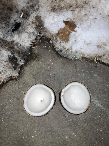 Асфальт и старый снег с окурками, на асфальте лежат две половинки большого кокоса. // Asphalt and old snow with cigarette butts, two halves of a large coconut lie on the asphalt. // photograph by pokanett, 2024