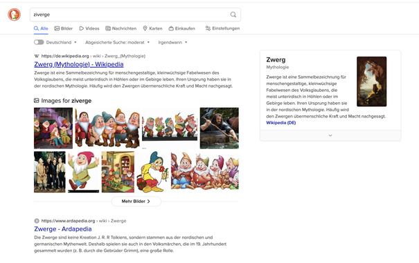DuckDuckGo "auto-corrects" the search term to something else