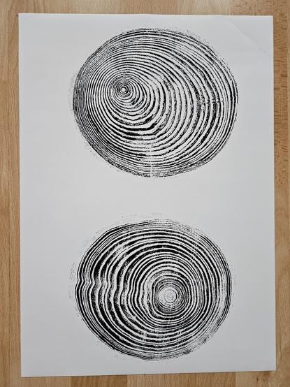 Das Bild zeigt einen Reliefdruck von zwei Baumscheiben. Die Jahresringen zeichnen sich schwarz auf dem Papier ab. Zwischen beiden Baumscheiben ist eine Lücke