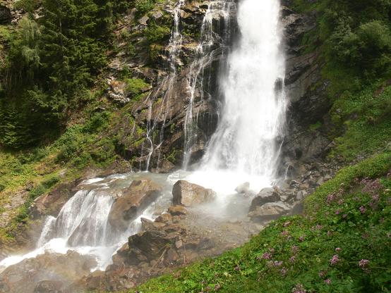 Waterfall landing on rocks and continuing as a mountain stream in a green environment with ferns and trees.