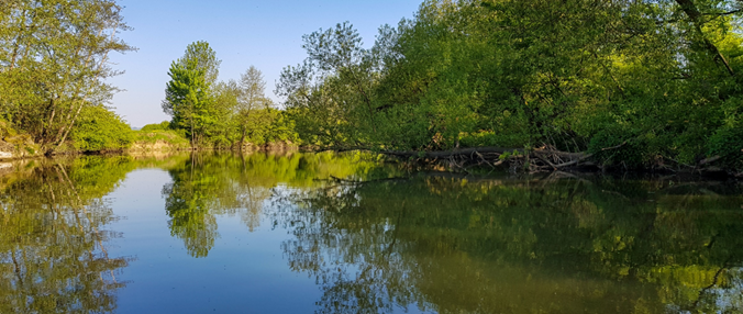 Upstream part of the Saône