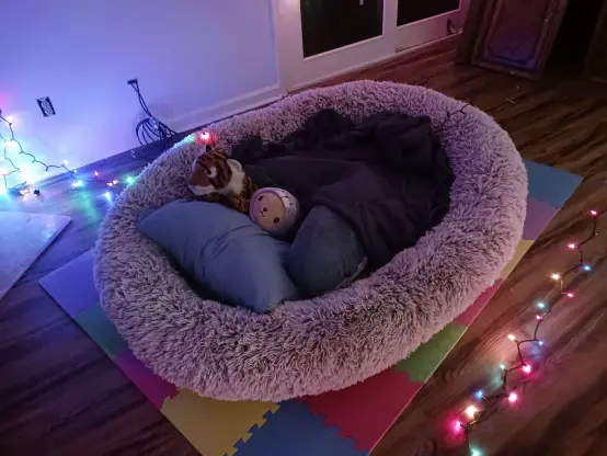 A human sized dog bed, atop a rainbow puzzle piece foam mat (to cushion against the hard linoleum atop concrete.) And in the bed is a blue pillow, a dog in a seal costume, a tiger, and a blahaj. All cozy underneath a weighted blanket. They're currently resting, surrounded by christmas lights
