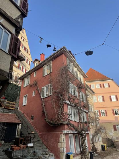 A red painted house in an old town.  A tree is searching his way up the veneer. Sunny day with blue sky