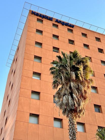 Exterior of a terracotta-colored hospital building with the sign "Hospital Angeles" on top and a tall palm tree in front.