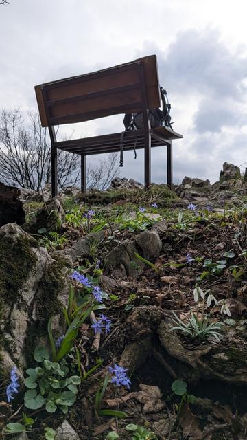 Bench from below and being as seen like ascending the top, beneath small violet and white flowers.