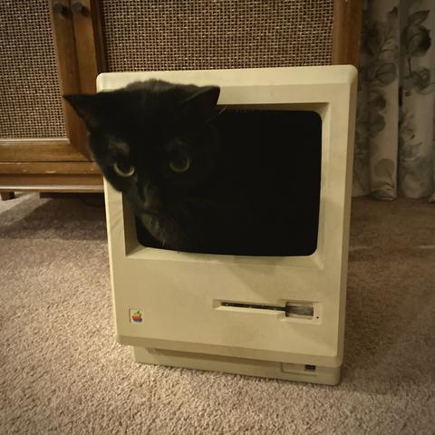 Cinder inside the Catintosh M0001W