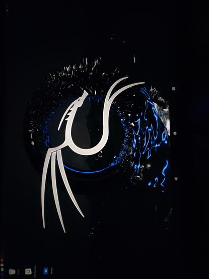 Running Kali Linux