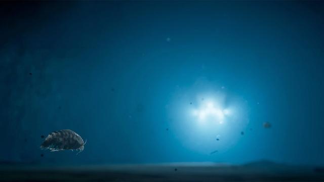 moody underwater photo of a single small crustacean and blurry lights of a submersible in distance