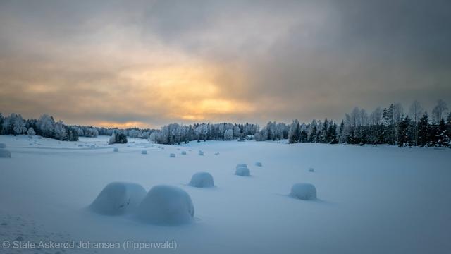 Rural winter scene. Sunset over white fields.