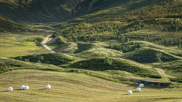 Green meadows, rolling hills and farmland.