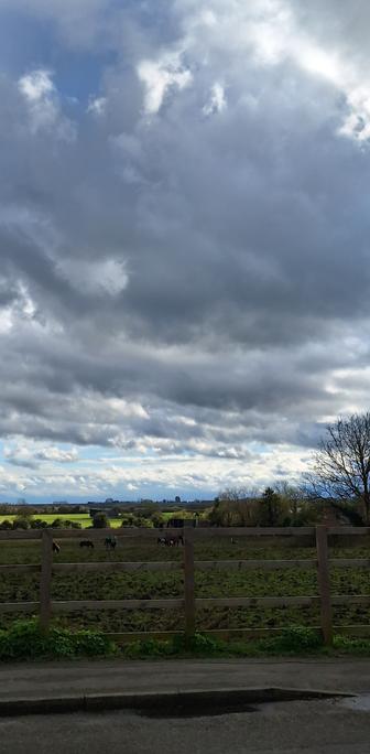 Fenland landscape photograph where two thirds is taken up by the sky which is blue but mostly full of fluffy white and grey skies