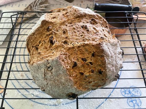A round loaf of brown bread split across with raisins in it.
