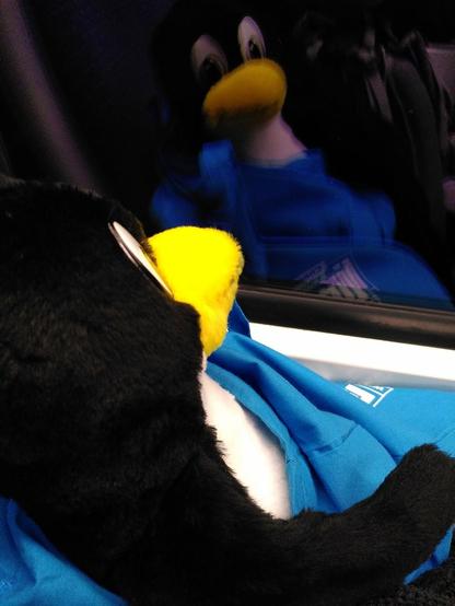 Plüsch-TUX von der Seite mit Spiegelung im Bahnfenster - auf dem Rückweg von den CLT2024.