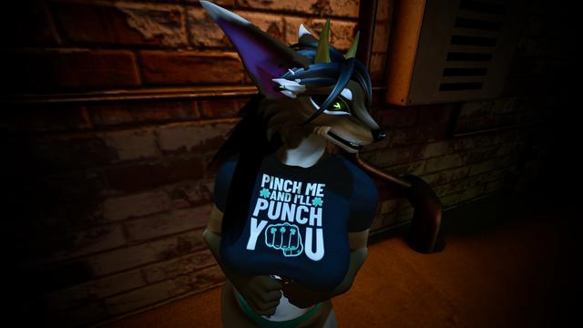 Anthro Furry woman wearing a top with the letters:
"Pinch me
and I'll
Punch
you"
to show the antipathy about the St.-Patricks-Day tradition.