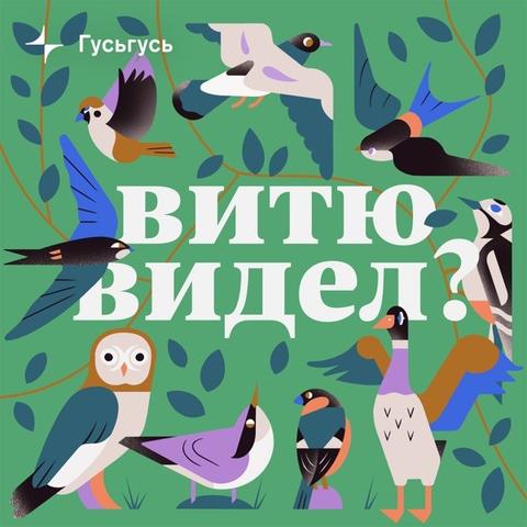 Текст: Витю видел?
ГусьГусь
На картинке изображены птицы вокруг названия подкаста: дятлы, сорока, ласточки, снегирь, утка или селезень, сова или филин
