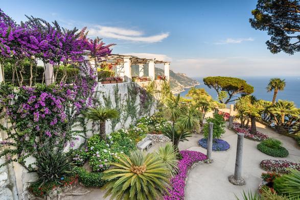 PinusPinea e Bougainvillea a Villa Rufolo, Ravello