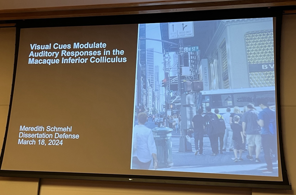Photo of a PowerPoint slide that reads: Visual Cues Modulate Auditory Responses in the Macaque Inferior Colliculus. Meredith Schmehl. Dissertation Defense. March 18, 2024.