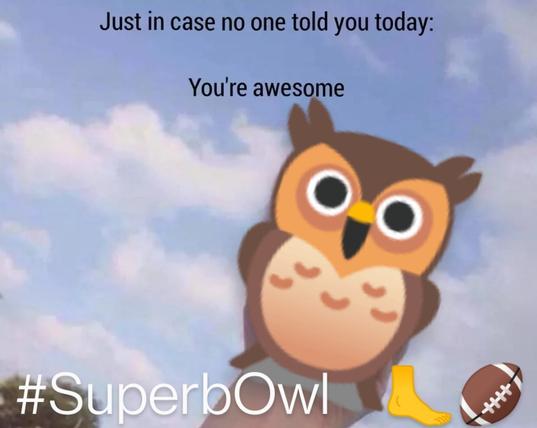 #SuperbOwl 💁‍♂️🦉🦶🏈💥