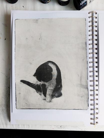 Gel plate print in a sketchbook depicting a black and white cat staring at something on the floor in front of her (used to be a fly in the original picture). She's positioned more or less in the bottom left corner, surrounded by an off-white background with smudges and other "noise" that comes with gel plate printing.