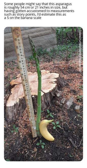 Photo of an asparagus stalk in the ground with a yard stick standing next to it in the left and a banana standing on the right.

Caption: Some people might say that this asparagus is roughly 54 cm or 21 inches in size, but having gotten accustomed to measurements like story points, I'd estimate this as a 5 on the banana scale